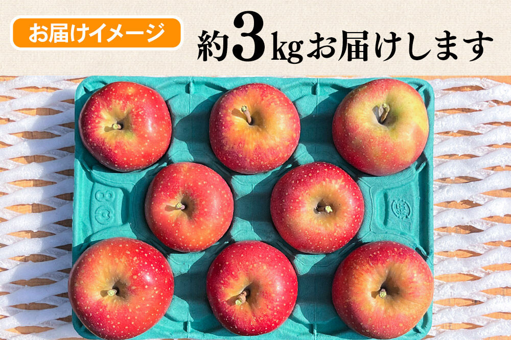 【26年10月下旬〜発送】りんご 千雪 約3kg カワムラファーム【家庭用】青森 果物 フルーツ 林檎 リンゴ くだもの [先行受付 アップル おいしい ちゆき 果実 果物 赤色 美味 林檎 弘前市]