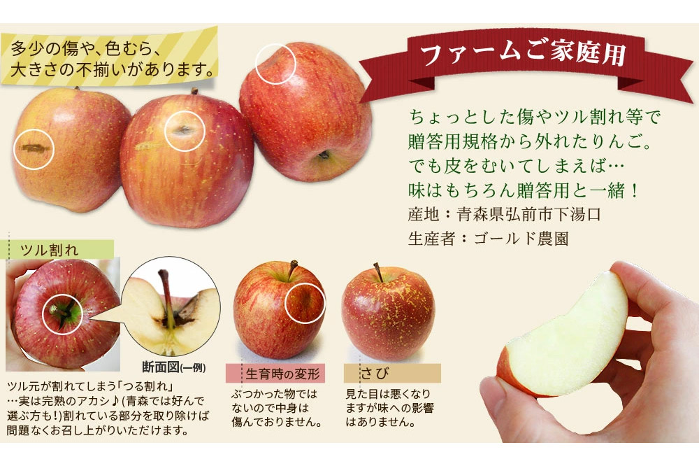 【25年12月〜発送】りんご 葉とらず ふじ【家庭用】約5kg ゴールド農園