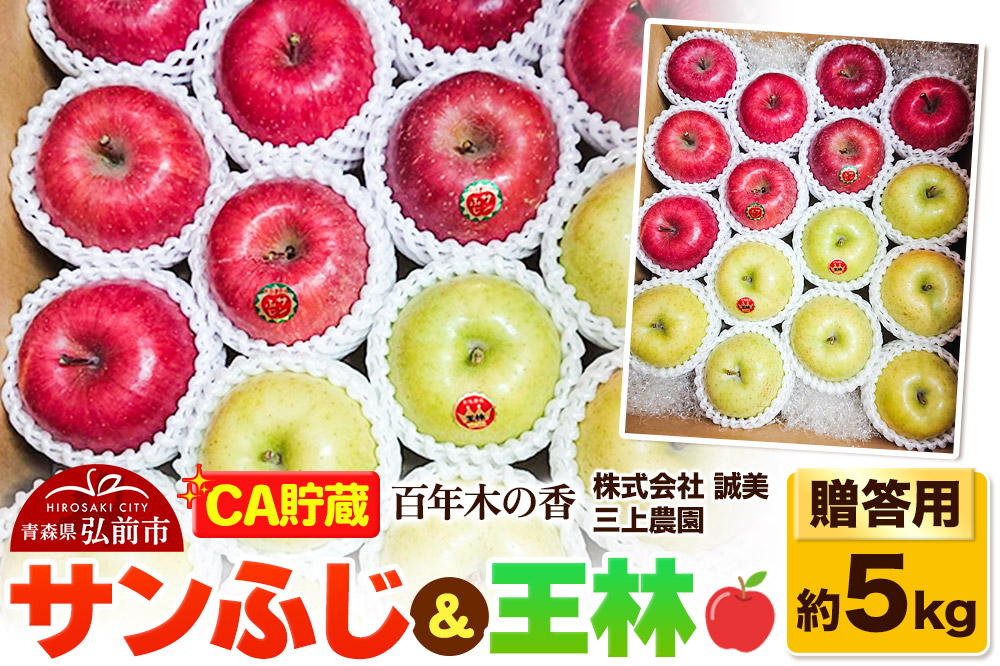 【26年4月発送】りんご 【CA貯蔵】贈答用 百年木の香 三上農園 サンふじ＆王林 約5kg (14〜20玉程度)【先行受付】 青森 果物 フルーツ 林檎 リンゴ くだもの 予約