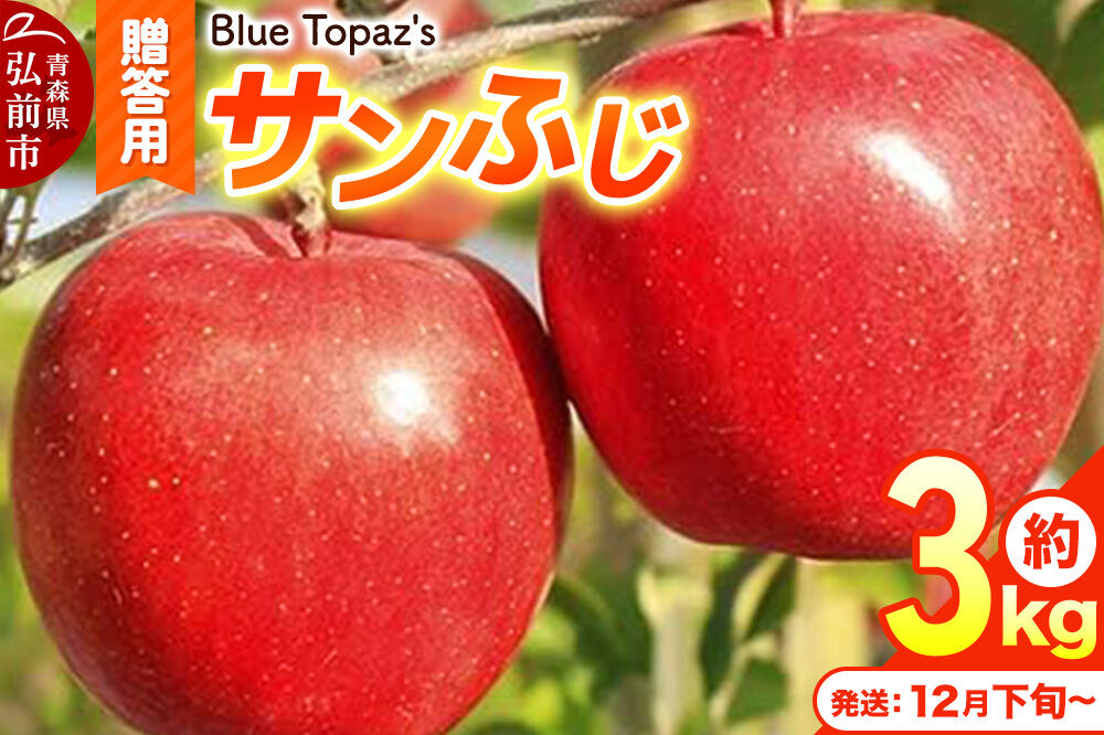 【26年12月下旬〜発送】りんご サンふじ【贈答用】約3kg 内のし付き 先行受付 青森県 弘前市 [先行予約 アップル おいしい ふじ りんご 果実 果物 赤色 津軽 糖度 美味 林檎]