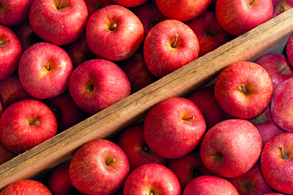 【26年4月発送】りんご 平均糖度13度以上！ 有袋ふじ 約10kg おもてなし用 CA貯蔵 クール便 青森 果物 フルーツ 林檎 リンゴ くだもの