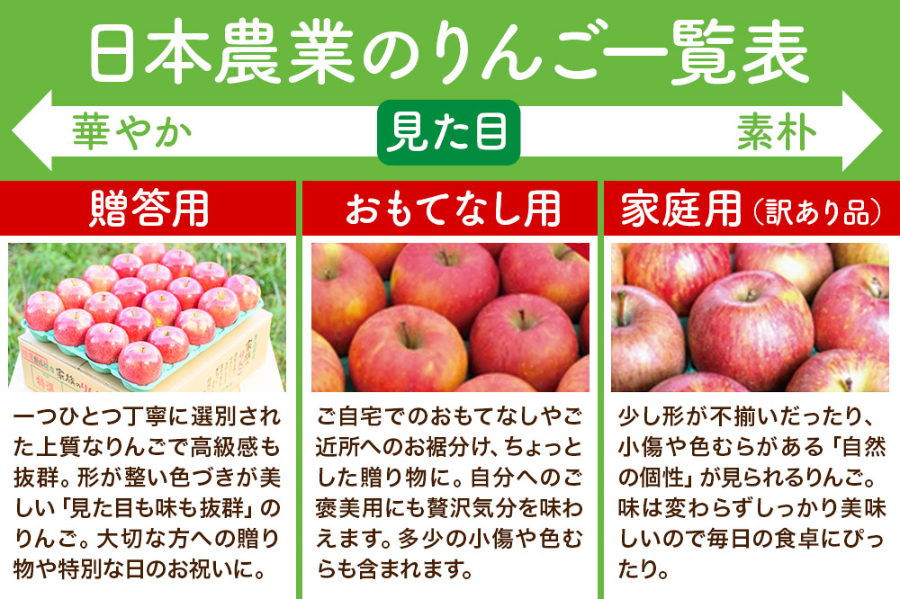 【26年1月発送】りんご 平均糖度13度以上！ 葉とらずサンふじ 約5kg 訳あり 青森 果物 フルーツ 林檎 リンゴ くだもの 不揃い 規格外