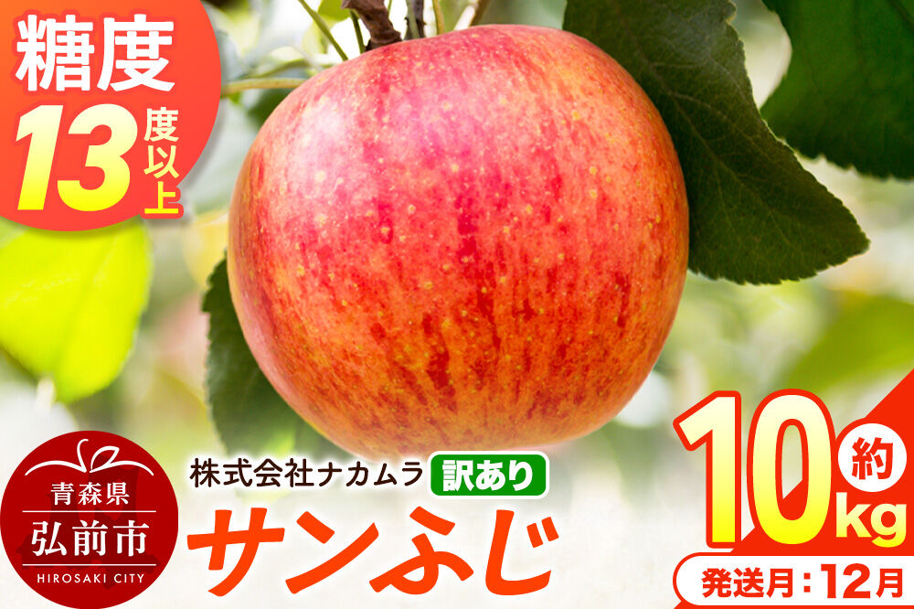 【26年12月発送】りんご サンふじ【訳あり】約10kg（28〜46玉程度）糖度13度以上 先行受付 青森県産 林檎 リンゴ 果物 くだもの フルーツ 青森県 弘前市 不揃い 規格外 [先行予約 産地直送 家庭用 アップル おいしい ふじ 果実 美味 甘い]
