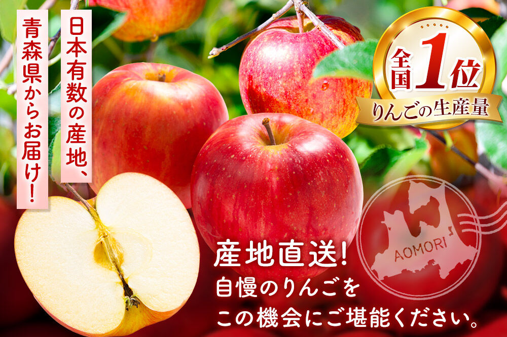 【26年12月〜発送】《定期便3ヶ月》りんご 品種おまかせ【訳あり】約5kg 平均糖度12.5度以上【12〜2月】3回分 青森 果物 フルーツ 林檎 リンゴ くだもの 不揃い 規格外 先行受付 [先行予約 家庭用 産地直送 アップル 青森県 弘前市]