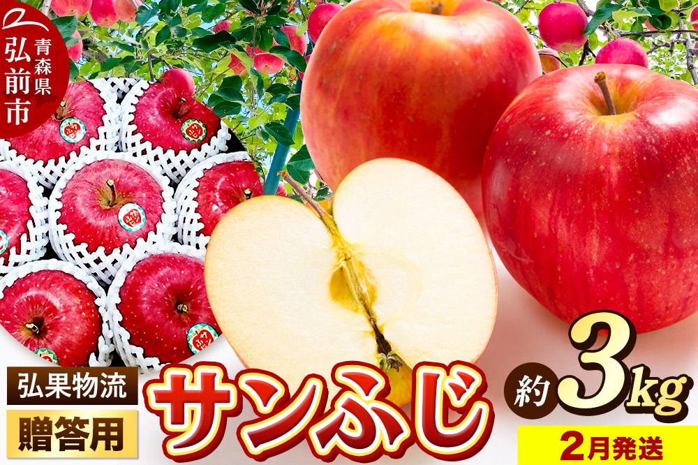 【26年2月発送】りんご 贈答用 サンふじ 約3kg