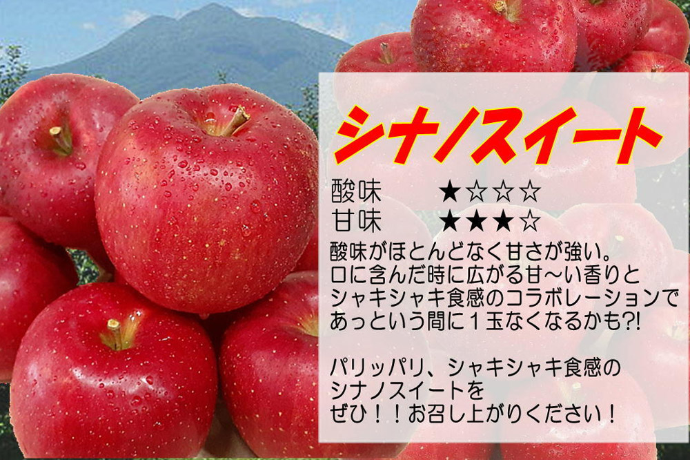 【26年5月発送・先行受付・クール便】りんご 贈答用 白熊 シナノスイート 約3kg（9〜12玉程度）スマートフレッシュ 糖度13度