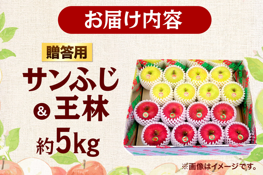 【寄附金額見直しました】【26年3月発送】りんご 贈答用 サンふじ・王林 詰め合わせ 約5kg 林檎 リンゴ 果物 くだもの フルーツ 青森