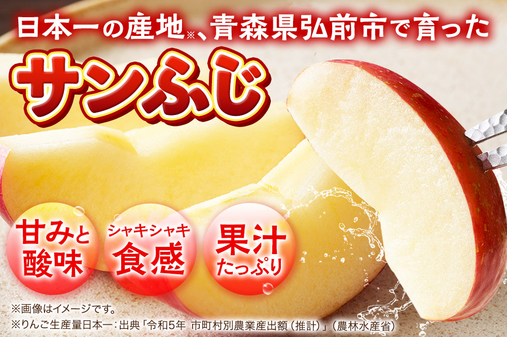 【26年1月発送】りんご  贈答用 サンふじ 約3kg 糖度 13度以上 EMりんご