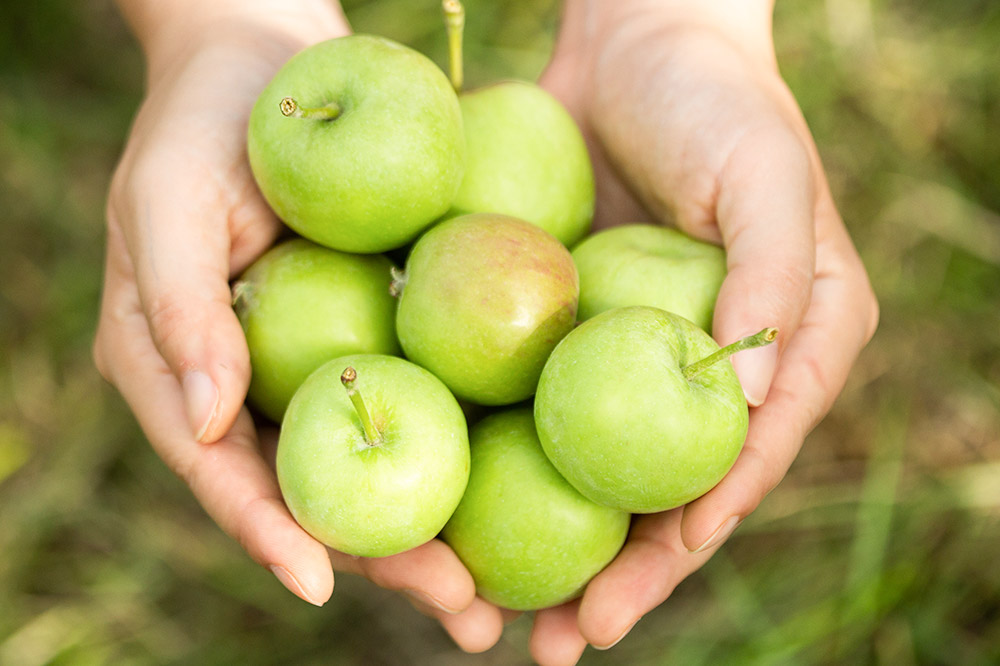 【寄附金額見直しました】摘果りんごのシードルとノンアルセット テキカカシードル（ライチ）＆アップルソーダ 各330ml×3本 計6本 お酒 青森 弘前 林檎 リンゴ