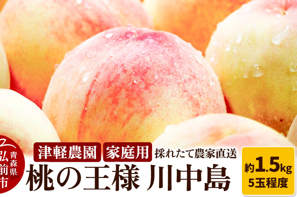 【26年8月発送】桃 約1.5kg(5玉程度) 青森【2026年産 桃の王様 川中島】もも 家庭用 果物 フルーツ くだもの 津軽農園 採れたて 農家直送 [おいしい ピーチ フルーツ もも 果実 果物 青森 津軽 桃 美味]