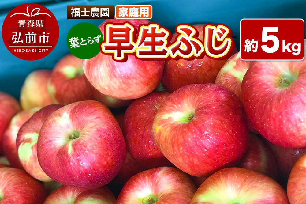 【26年10月発送】りんご 葉とらず 早生ふじ【家庭用】約5kg 青森県 弘前市 [青森県産 産地直送 アップル おいしい 果実 果物 赤色 美味]