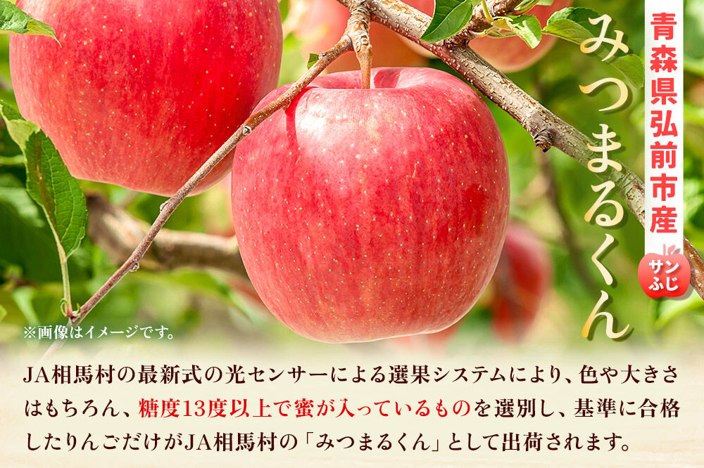 【26年11月〜発送】りんご 蜜入り サンふじ（みつまるくん）＆シナノゴールド セット 約 5kg [アップル おいしい シナノ シナノゴールド セット セット品 ふじ りんご 黄色 果実 果物 赤色 美味 林檎]