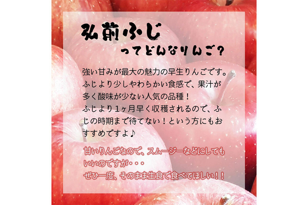 【26年10月中旬〜発送】りんご 弘前ふじ【贈答用】約3kg 青森県 弘前市 [先行予約 アップル おいしい ふじ りんご 果実 果物 赤色 津軽 糖度 美味 林檎]