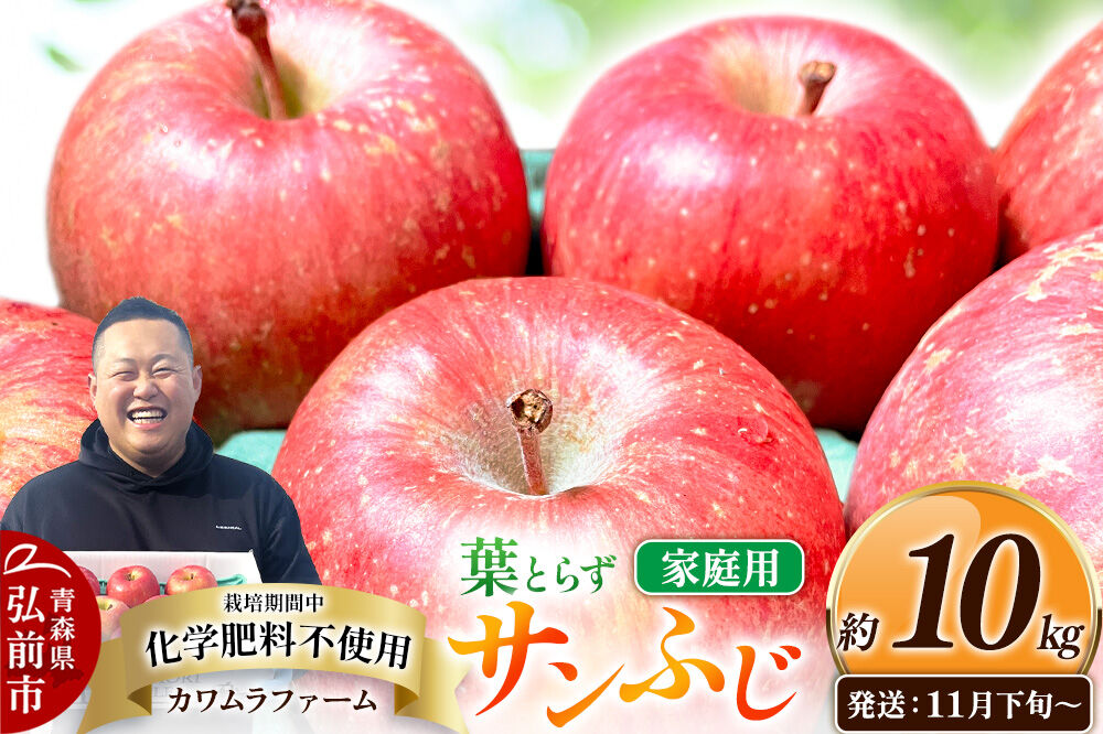 【26年11月下旬〜発送】りんご 葉とらず サンふじ【家庭用】約10kg【先行受付】カワムラファーム 青森県 弘前市 果物 フルーツ 林檎 リンゴ くだもの 不揃い 規格外 [先行予約 産地直送 アップル おいしい 果実 美味 甘い 赤色]