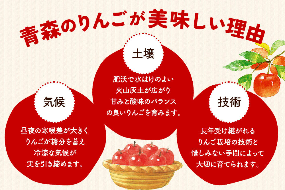 【26年4月クール便発送】りんご 平均糖度13度以上！ シナノスイート 約3kg 訳あり CA貯蔵 クール便 青森 果物 フルーツ 林檎 リンゴ くだもの 不揃い 規格外 [アップル 果物 産地直送 フルーツ 青森県 弘前市]