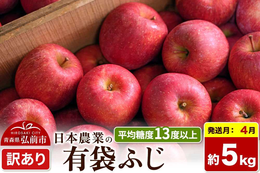 【27年4月クール便発送】りんご 有袋ふじ【訳あり】約5kg【CA貯蔵】平均糖度13度以上 クール便 青森 果物 フルーツ 林檎 リンゴ くだもの 不揃い 規格外 [先行予約 家庭用 産地直送 アップル 青森県 弘前市]