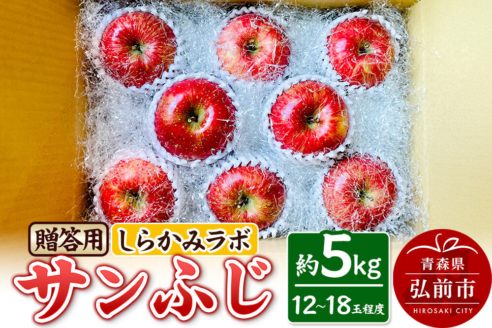 【26年12月中旬〜発送】りんご サンふじ【贈答用】約5kg 先行受付 しらかみラボ 青森県 弘前市 果物 フルーツ 林檎 リンゴ くだもの ギフト 贈り物 [先行予約 産地直送 アップル おいしい 果実 美味 甘い 赤色]