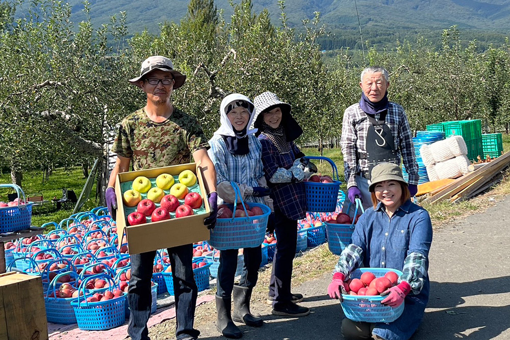 ã26幎1æãçºéãããã å®¶åºç𠿬ã®ãªã³ãŽè©°ãåãã çŽ10kg ç³åºŠ13床以äž