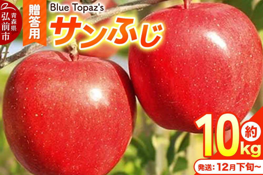 【26年12月下旬〜発送】りんご サンふじ【贈答用】約10kg 内のし付き 青森県 弘前市 [先行予約 クール便 アップル おいしい ふじ りんご 果実 果物 赤色 津軽 糖度 美味 林檎]