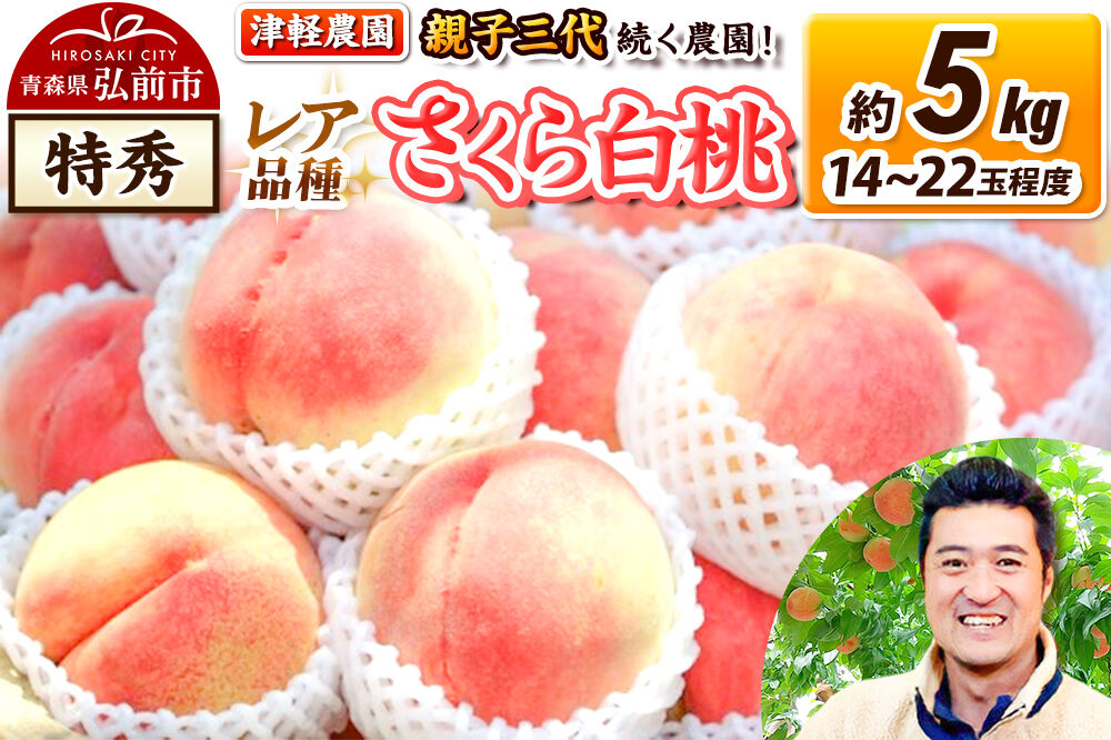 【26年9月発送】桃 約5kg(14〜22玉程度) 青森【2026年産 レア品種 さくら白桃】もも 特秀 くだもの フルーツ 果物 津軽農園 採れたて 農家直送 [おいしい ピーチ フルーツ もも 果実 果物 青森 津軽 桃 白桃 美味]