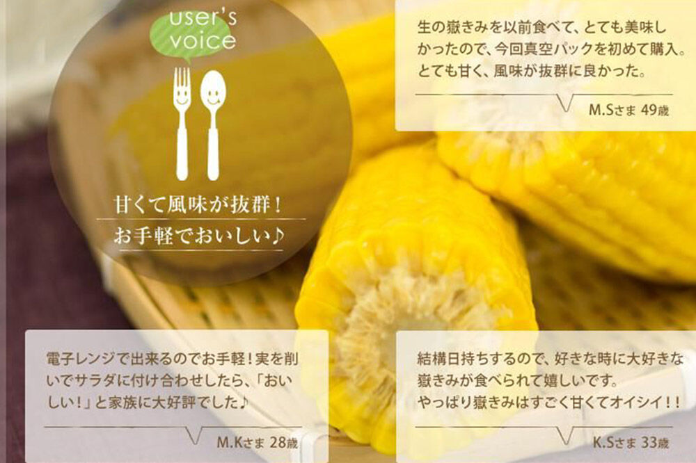 【寄附金額見直しました】とうもろこし 嶽きみ真空パック 10本セット（L〜2Lサイズ）