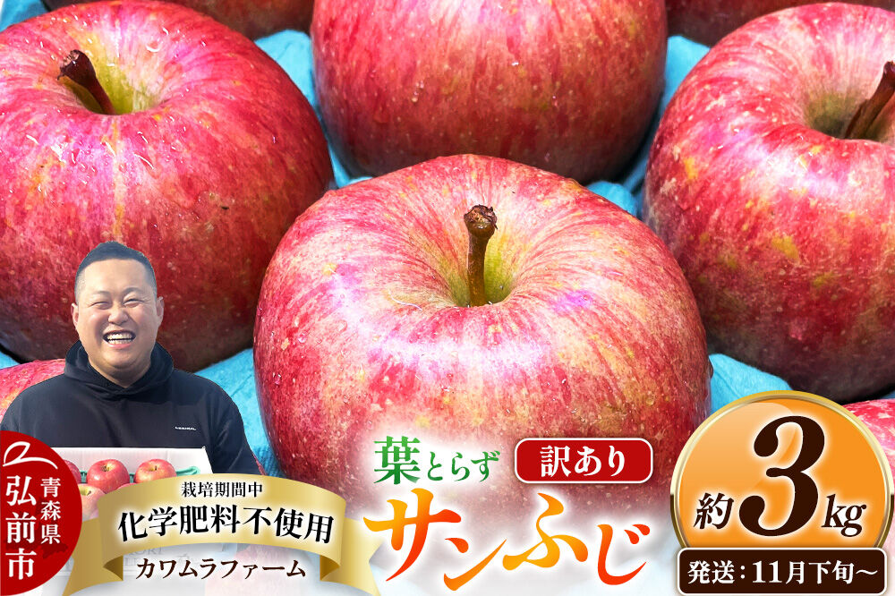 【26年11月下旬〜発送】りんご 葉とらず サンふじ【訳あり】約3kg【先行受付】カワムラファーム 青森県 弘前市 果物 フルーツ 林檎 リンゴ くだもの 不揃い 規格外 [先行予約 産地直送 アップル おいしい 果実 美味 甘い 赤色]