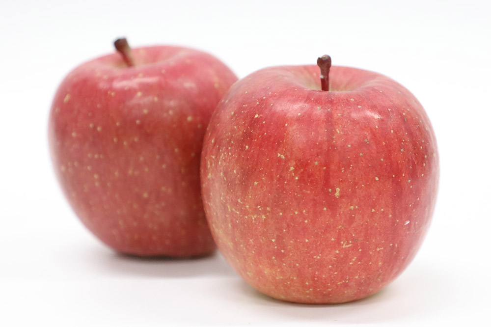 【26年4月発送・先行受付・クール便】りんご 特選 白熊 サンふじ 絆 約3kg（9〜12玉程度）糖度13度 CA貯蔵