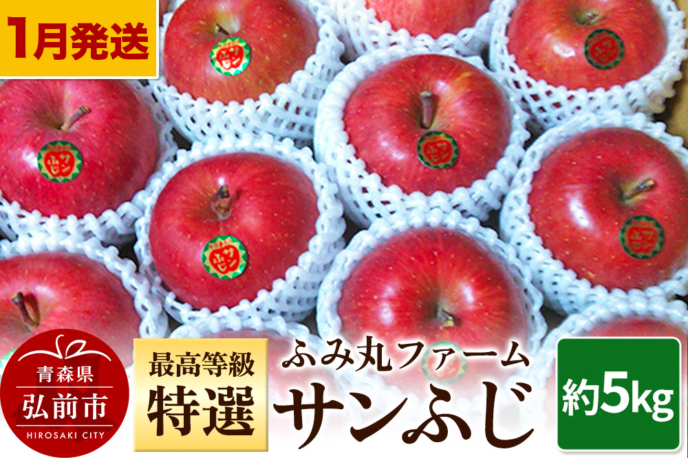 【26年1月〜発送】りんご ふみ丸ファーム 最高等級「特選」サンふじ 約5kg