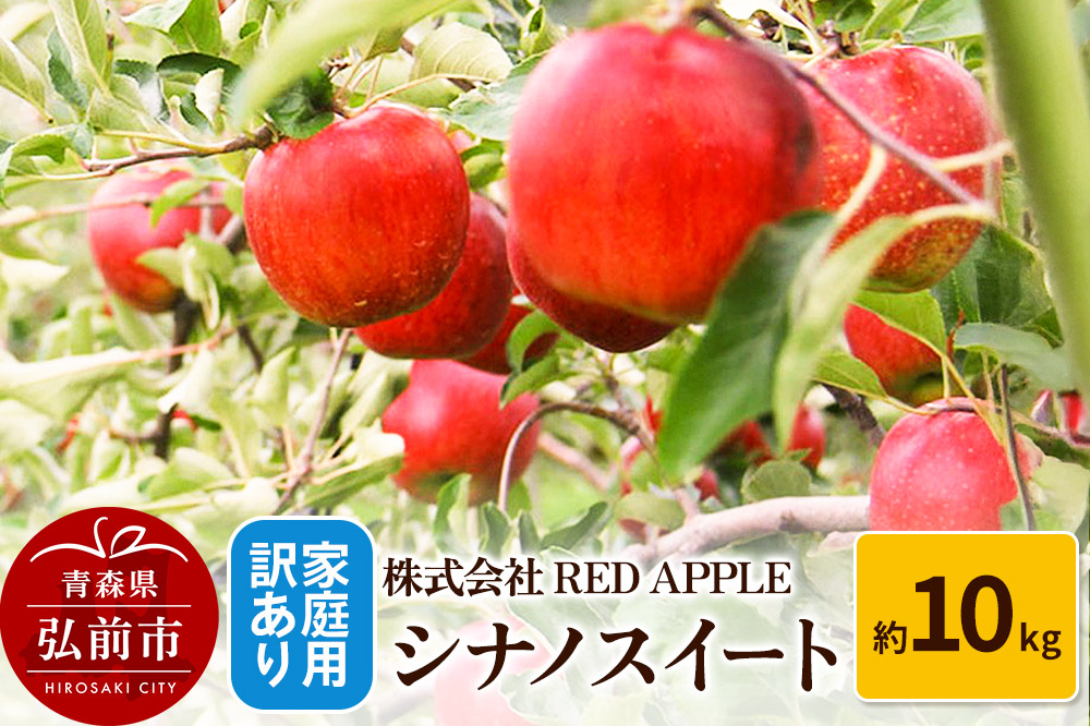 りんご【訳あり】家庭用 シナノスイート 約10kg