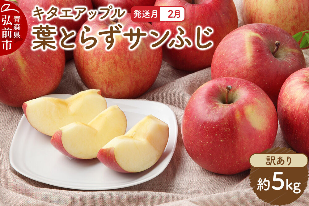 【27年2月発送】りんご 葉取らず サンふじ【訳あり】約5kg キタエアップル 先行受付 家庭用 青森県 弘前市 果物 フルーツ 林檎 リンゴ くだもの 不揃い 規格外 [先行予約 産地直送 アップル おいしい 果実 美味 甘い 赤色]