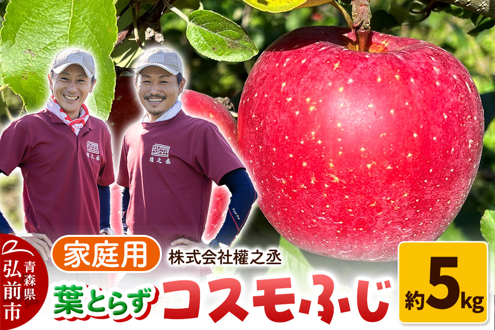 りんご 權之丞 葉とらずりんご コスモふじ 家庭用約5kg【弘前市産・青森りんご】