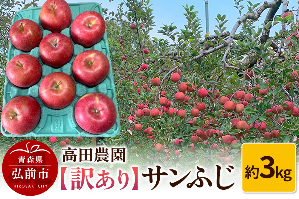 りんご【訳あり】サンふじ 約3kg  弘前市産 青森りんご