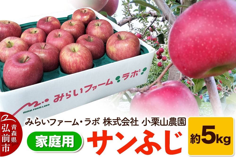 【25年12月発送】りんご【家庭用】サンふじ 約5kg