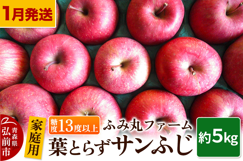 【26年1月〜発送】りんご【家庭用】葉とらず サンふじ 約5kg 糖度13度以上