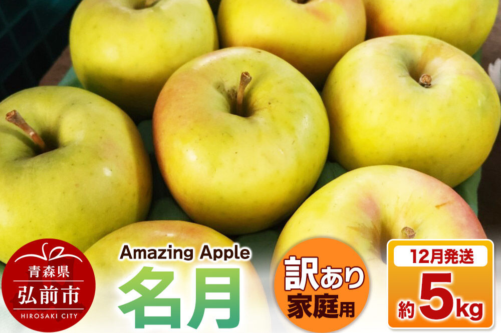 【26年12月発送】りんご 名月【訳あり】家庭用 約5kg 先行受付 [先行予約 りんご 名月 訳あり 家庭用 5kg アップル おいしい 果実 果物 美味 林檎 青森県 弘前市]