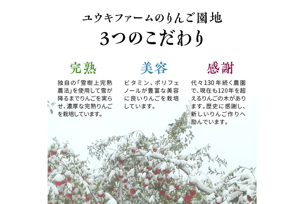 【26年1月〜発送】りんご 【 数量限定 】雪完熟りんご 糖度13度以上 家庭用 葉とらずサンふじ ・ 完熟 王林 11個入り
