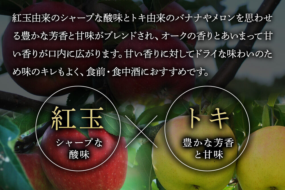 ハードサイダー【アルマナウラカ】 750ml 1本 （ジュニャーナムドラTJW） JAPAN CIDER CUP 2025 ウッド／樽熟成サイダー 銀賞 [おいしい サイダー ジュース 飲料 炭酸 美味]