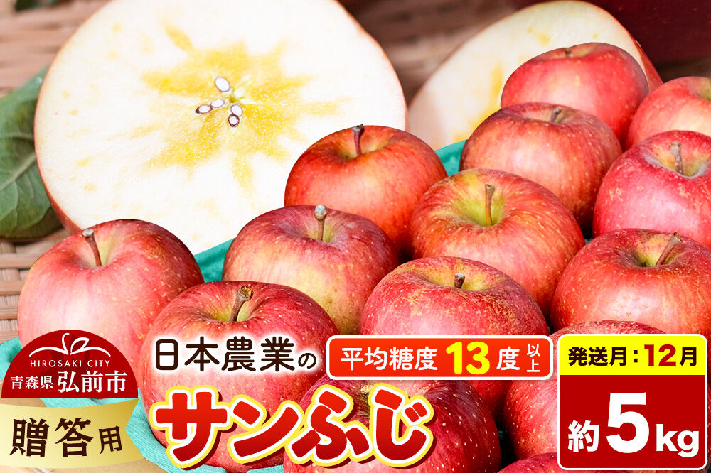 【26年12月発送】りんご サンふじ【贈答用】約5kg 平均糖度13度以上 青森県 弘前市 果物 フルーツ 林檎 リンゴ くだもの 贈り物 ギフト 先行受付 [先行予約 産地直送 アップル 青森県 弘前市]