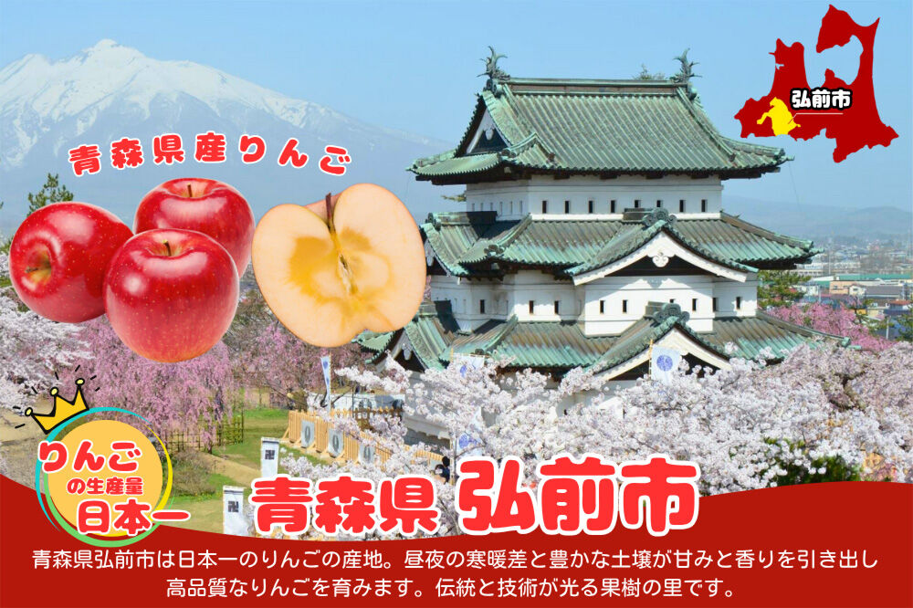 【2月発送 訳あり ご家庭用】りんご サンふじ 3kg ふじりんご 青森県産 青森 果物 フルーツ 林檎 リンゴ くだもの 弘前市