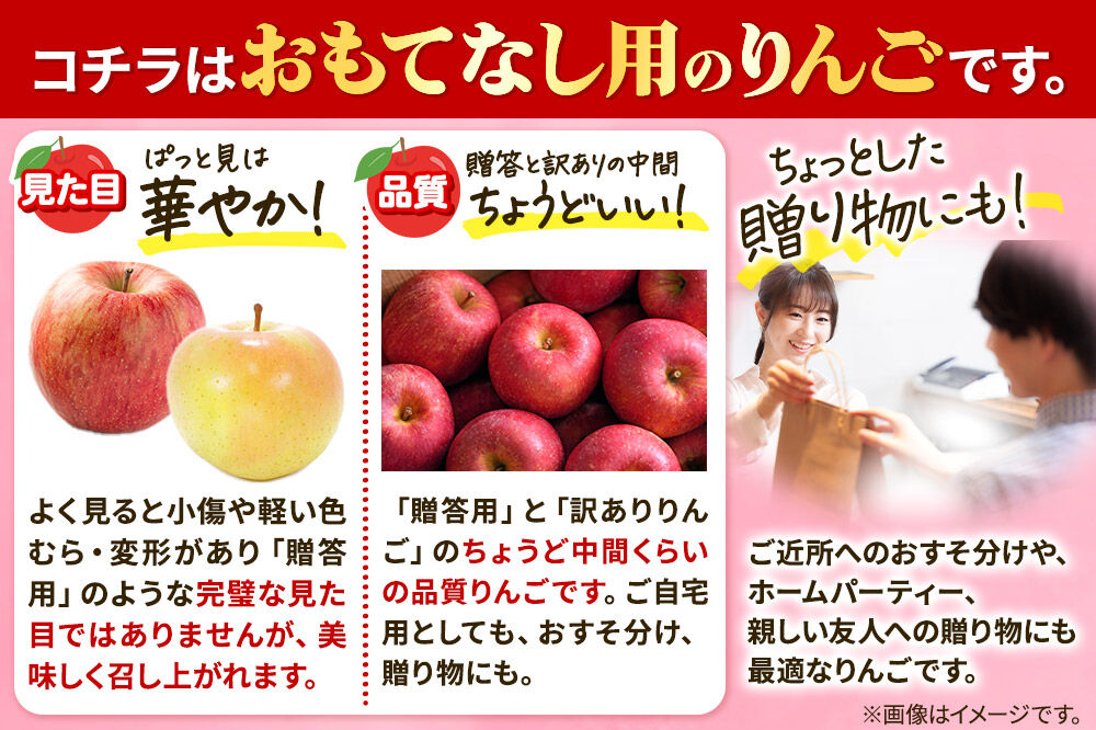 【27年2月発送】りんご 葉とらずサンふじ 【おもてなし用】 約5kg 平均糖度13度以上 青森県産 先行受付 [先行予約 りんご 林檎 アップル 産地直送 葉とらず サンふじ おもてなし用 果物 フルーツ くだもの おいしい 美味 甘い 青森県 弘前市 日本農業]