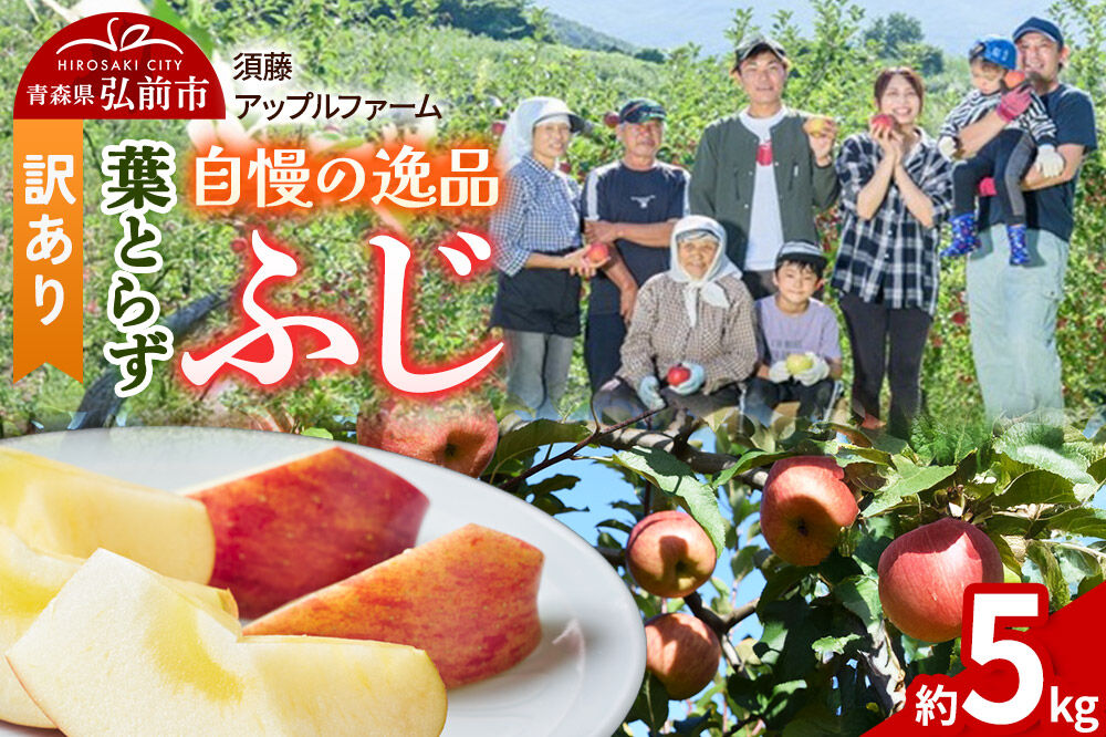 【26年11月下旬〜発送】りんご 葉とらず ふじ【訳あり】約5kg 先行受付 家庭用 青森県 弘前市 果物 フルーツ 林檎 リンゴ くだもの 不揃い 規格外 [先行予約 産地直送 アップル おいしい 果実 美味 甘い 赤色]