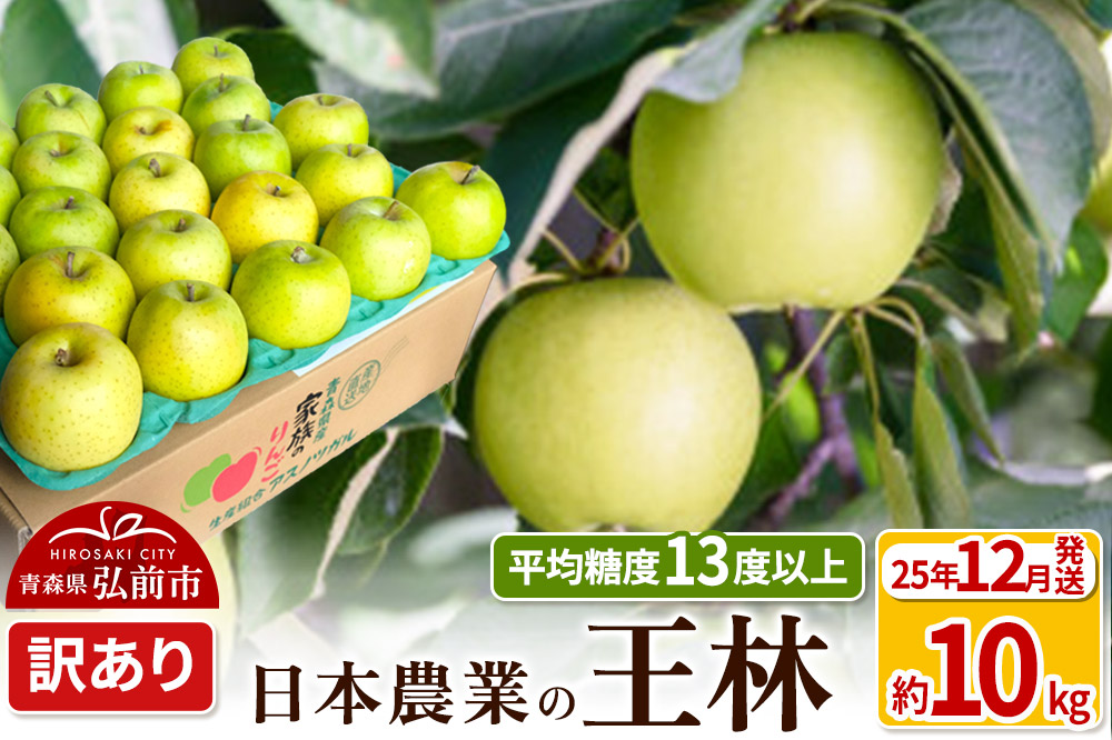 【25年12月発送】りんご 平均糖度13度以上！ 王林 約10kg 訳あり 青森 果物 フルーツ 林檎 リンゴ くだもの 不揃い 規格外