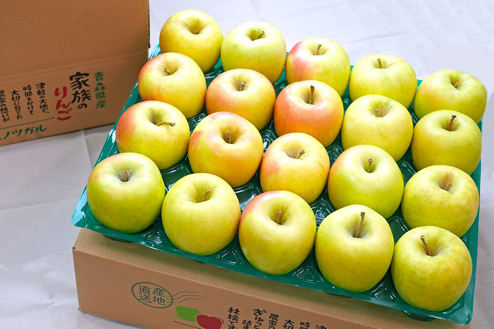 【26年12月発送】りんご ぐんま名月【訳あり】約10kg 平均糖度13度以上 青森県 弘前市 果物 フルーツ 林檎 リンゴ くだもの 不揃い 規格外 [先行受付 家庭用 産地直送 アップル 青森県 弘前市]