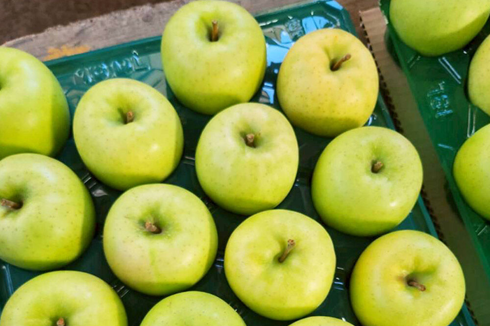 【寄附金額見直しました】【26年8月下旬〜9月発送】りんご 黄王【訳あり】家庭用 約5kg [青森産 りんご 黄王 きおう アップル 林檎 リンゴ 果物 果実 美味 青森県 弘前市]