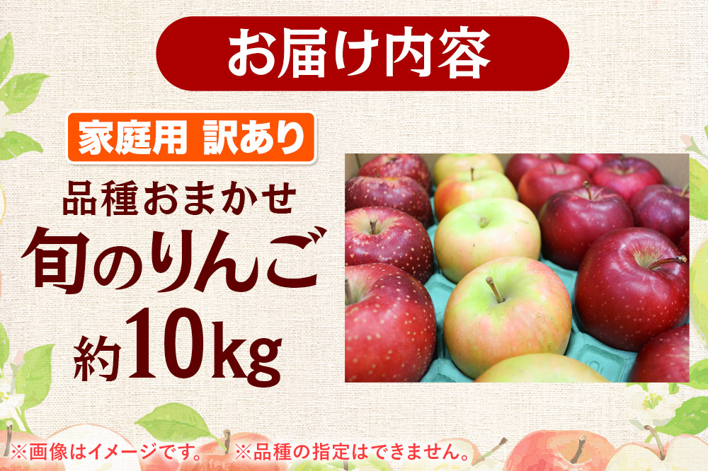 【25年11月発送】りんご 家庭用 訳あり 旬のりんご 品種おまかせ 約10kg 2品種〜4品種