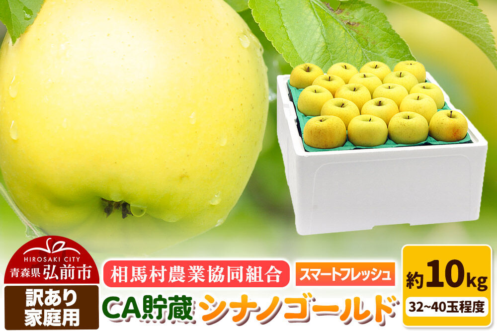 【27年3月クール便発送】りんご シナノゴールド【訳あり】家庭用 約10kg（32〜40玉程度）CA スマートフレッシュ [シナノゴールド りんご 10キロ アップル おいしい 黄色 果実 果物 美味 林檎]