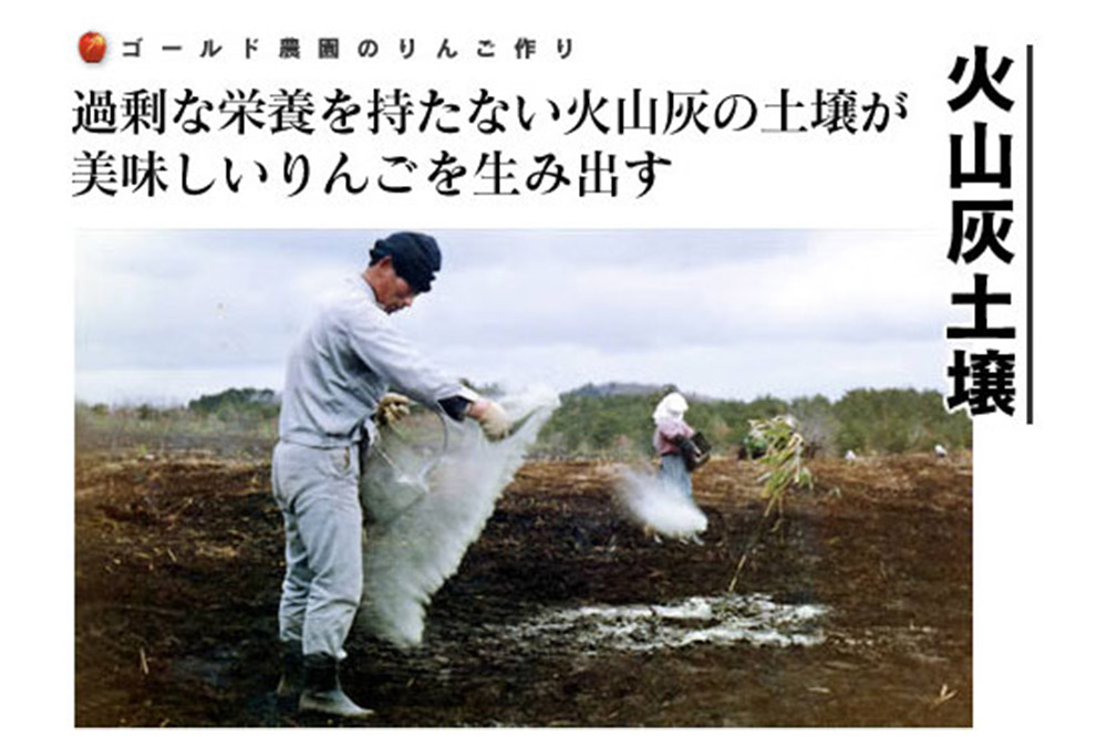 【25年12月〜発送】りんご 葉とらず ふじ【家庭用】約2kg ゴールド農園