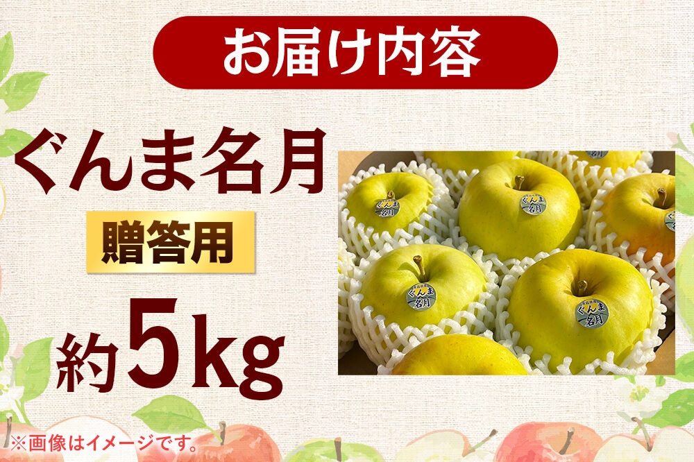 【27年2月発送】りんご ぐんま名月【贈答用】約5kg 先行受付 青森県 弘前市 果物 フルーツ 林檎 リンゴ くだもの ギフト 贈り物 [先行予約 産地直送 アップル おいしい 果実 美味 甘い 黄色]