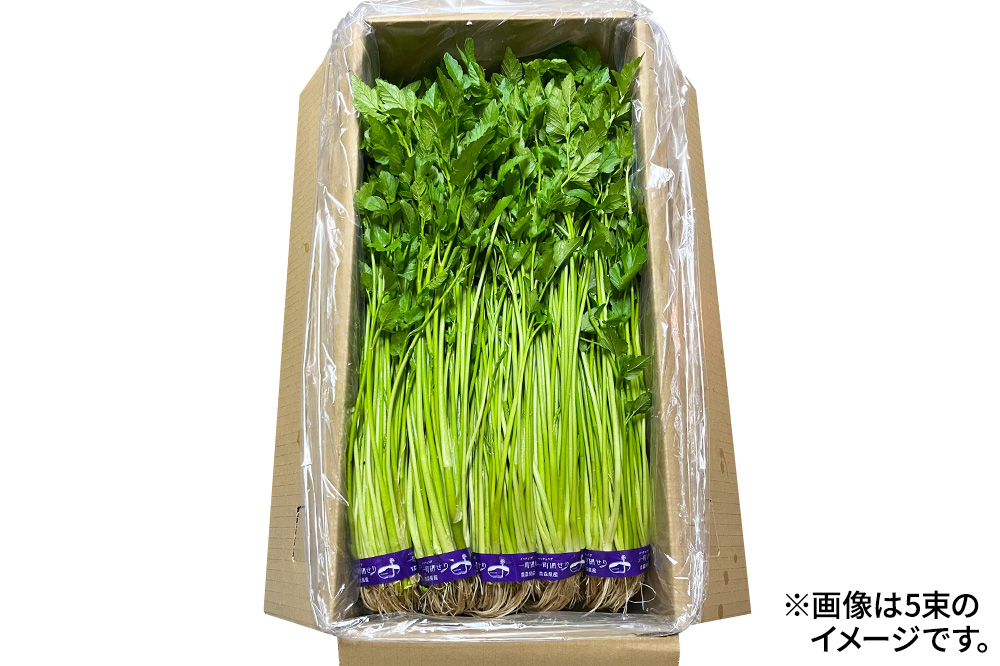 【寄附金額見直しました】野菜 一町田せり 約520g（約130g×4束）せり 七草
