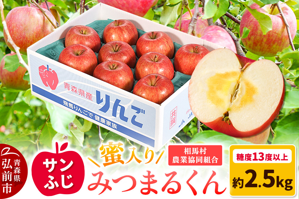 【25年11月〜発送】りんご 蜜入り サンふじ（みつまるくん）約 2.5kg 糖度13度以上